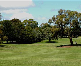 Cooma Golf Club - Inverell Accommodation 1