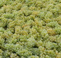 Normanby Wines - Inverell Accommodation