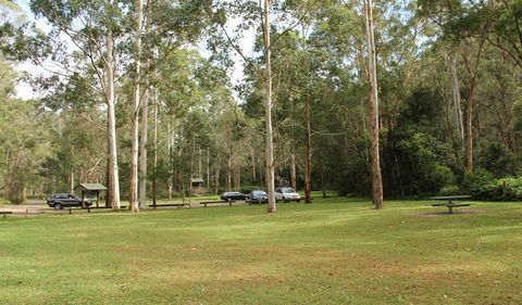 Mill Creek Picnic Area - Inverell Accommodation 0