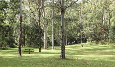 Mill Creek Picnic Area - Inverell Accommodation 3