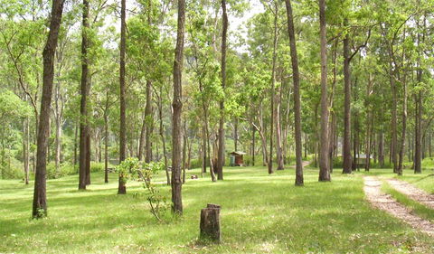 Nymboida National Park - Inverell Accommodation 2