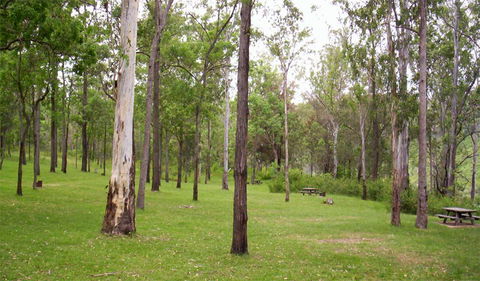 Nymboida National Park - Inverell Accommodation 3
