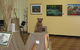 Maryborough Art Society Inc. - thumb 0