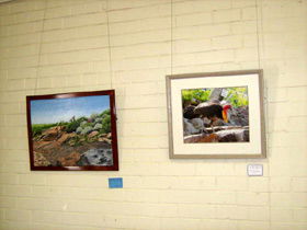 Maryborough Art Society Inc. - Inverell Accommodation 2