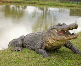 Hunter Valley Zoo - Inverell Accommodation 1