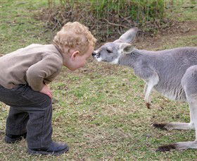 Hunter Valley Zoo - Inverell Accommodation 3