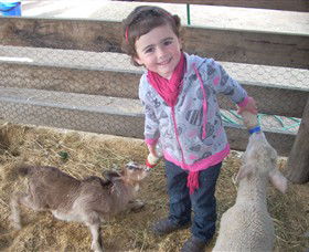 Hunter Valley Zoo - Inverell Accommodation 4