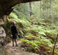 Dharug National Park - Inverell Accommodation