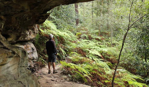 Dharug National Park - Inverell Accommodation 0