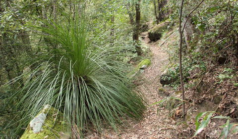 Dharug National Park - Inverell Accommodation 2