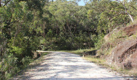 Dharug National Park - Inverell Accommodation 1