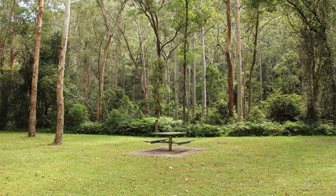 Dharug National Park - Inverell Accommodation 3
