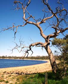 Lake Indoon - Inverell Accommodation 0