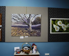 Monaro Art Groups Little Gallery - Inverell Accommodation 0
