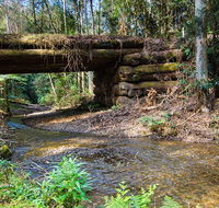 Myrtle Scrub scenic drive - Inverell Accommodation