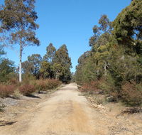 Werakata National Park - Inverell Accommodation