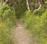 Three Views walking track - Inverell Accommodation