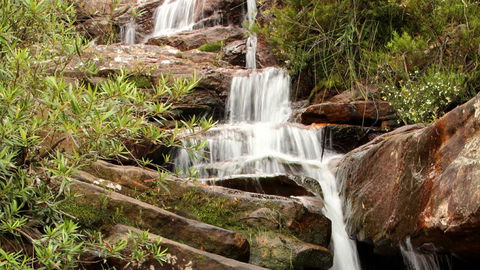 Popran National Park - Inverell Accommodation 1