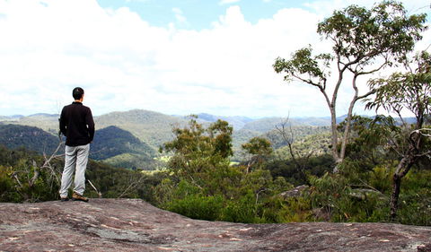 Popran National Park - Inverell Accommodation 0