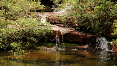 Popran National Park - Inverell Accommodation 2