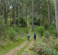 The Green Gully track - Inverell Accommodation