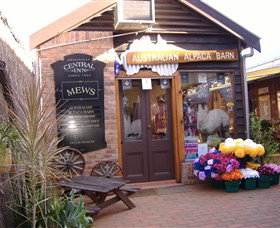 Australian Alpaca Barn - Morpeth - Inverell Accommodation 0