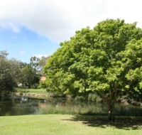 Hervey Bay Botanic Gardens - Inverell Accommodation