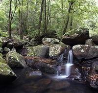 Kangaroo River - Inverell Accommodation