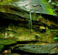 Strickland State Forest - Inverell Accommodation