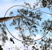 TreeTops Crazy Rider - Inverell Accommodation