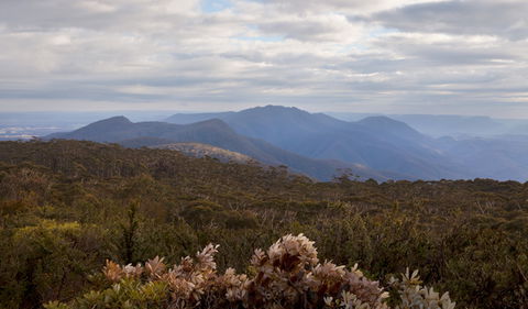 Budawang National Park - Inverell Accommodation 1