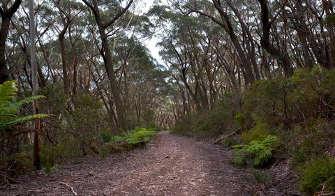 Budawang National Park - Inverell Accommodation 0
