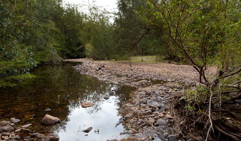 Budawang National Park - Inverell Accommodation 2