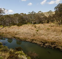 Werrikimbe National Park - Inverell Accommodation