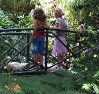 EG Waterhouse National Camellia Garden - Inverell Accommodation