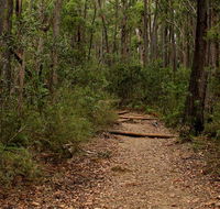 Pigeon House Mountain Didthul walking track - Inverell Accommodation