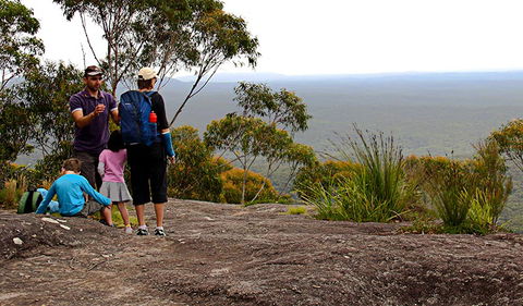 Pigeon House Mountain Didthul Walking Track - Inverell Accommodation 2