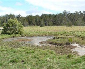 Boondall Wetlands Reserve - Inverell Accommodation 1