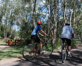 Boondall Wetlands Reserve - Inverell Accommodation 2