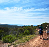 Moonee Beach trail - Inverell Accommodation