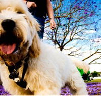 Tuckeroo Park - Inverell Accommodation