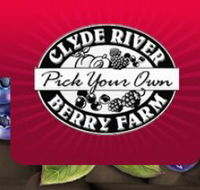 Clyde River Berry Farm - Inverell Accommodation