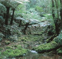 The Corn Trail Walk - Inverell Accommodation