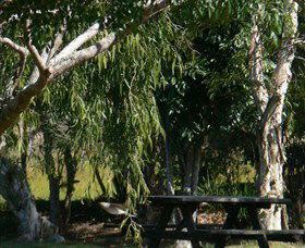 Spring Grove NSW Inverell Accommodation