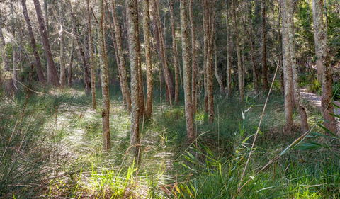 Anabranch Loop Track - Inverell Accommodation 0