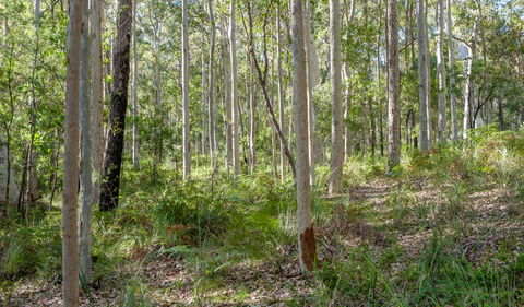 Anabranch Loop Track - Inverell Accommodation 2