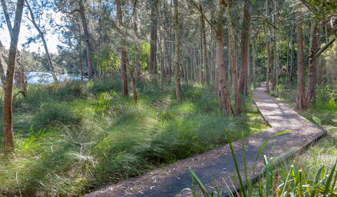 Anabranch Loop Track - Inverell Accommodation 3