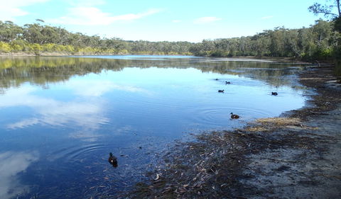 Conjola National Park - Inverell Accommodation 1