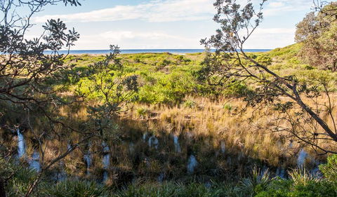 Burrawang Track - Conjola Beach To Buckleys Point - Inverell Accommodation 1