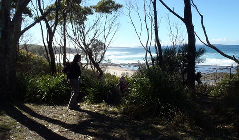Monument Beach Picnic Area - Inverell Accommodation 2